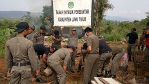 Satpol PP Lutim Tertibkan Lahan Pemda yang Dikuasai Oknum