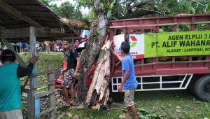 Mobil Pengangkut Tabung Tabrak Pohon di Walmas, 3 Orang Dilarikan ke Rumah Sakit