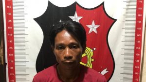 Warga Luwu Ini Tega Potong Telinga Istrinya, Gara-gara Jarang Disiapkan Makanan