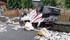Pecah Ban, Mobil Pick Up Terbalik di Belopa, Ikan Terhambur di Jalan
