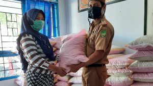 Bantuan Pangan Pemkot Palopo Mulai Disalurkan  di Balandai