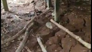 WASPADA! Ada Tanah Retak Sepanjang Ratusan Meter di Luwu