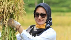 Sektor Pertanian Lutra Diharap Kembali Bangkit Pasca Bencana