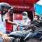 perta shop luwu utara