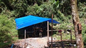 Ada Aktivitas Tambang Emas Ilegal di Latuppa, Maman : Cukuplah Lutra Jadi Pembelajaran