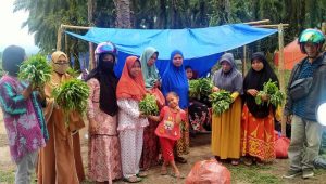 Pengungsi Banjir Bandang Lutra Terima Distribusi Sayur Organik