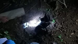 Diduga Sengaja Digugurkan, Kuburan Janin di Palopo Dibongkar Polisi