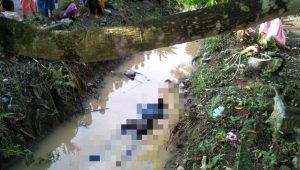 INNNALILLAH…Mayat Guru di Luwu Ditemukan Dalam Parit