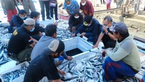 Nurdin Abdullah Dengar Keluhan Nelayan di Pusat Pelelangan Ikan Lonrae Bone