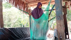 Nayati, Wanita Perkasa Asal Luwu, Sekolahkan Anak Hingga Perguruan Tinggi dari Hasil Massambe