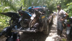 Polsek Baebunta Gerebek Arena Sabung Ayam, Pelaku Kabur Duluan, 14 Motor Diamankan