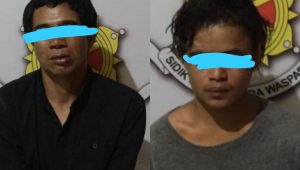 Hanya Sisakan Tulang dan Kepala Untuk Pemiliknya, Dua Pencuri Kerbau di Toraja Utara Diringkus