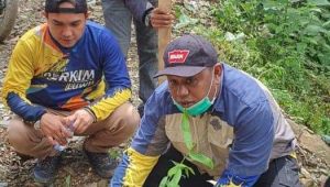 Dukung Latimojong Sebagai Kawasan Agrowisata, Perkim Luwu Tanam Pohon