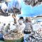 IMG 20210414 WA0085