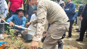 Dinas PUPR Luwu Siapkan 1.000 Pohon Bambu, Dukung Latimojong Kawasan Agrowisata