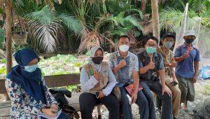 Kawasan Food Estate, Pengembangan Sagu di Luwu Jadi Rujukan Peneliti Kementan