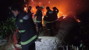 Sarang Burung Walet di Palopo Terbakar, Kerugian Ditaksir Rp 150 juta