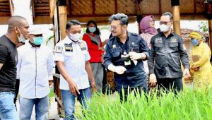 Menteri Pertanian Kagum Konsep Lesehan Tepi Sawah Sidrap
