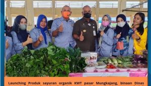 KWT Binaan Dispertanakbun Palopo Jual Sayur Organik di Pasar Mungkajang