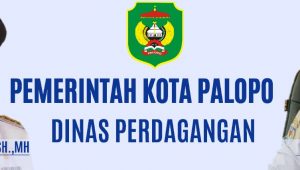 Daftar Harga Bahan Pokok dan Barang Penting di Kota Palopo, Rabu 29 Desember 2021