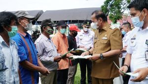 Pesta Panen di Walenrang Timur, Bupati Luwu Serahkan Sertifikat Tanah