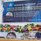 universitas muhammadiyah palopo
