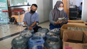Uang Koin Ditabung Dalam Galon Selama Tiga Tahun, Impian Asriadin Beli Toyota Akhirnya Terwujud