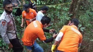 Cari Madu, Warga Palopo Temukan Kerangka Manusia di Pegunungan Mancani