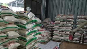 7 Cara Ampuh Bersihkan Gudang Beras Dari Hama Kutu