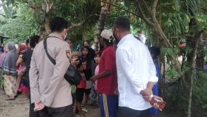 Begini Kronologi Pria Paruh Baya Meninggal Tersengat Listrik Jeratan Babi
