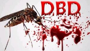 Sejak Januari, Kasus DBD di Luwu Timur Melonjak
