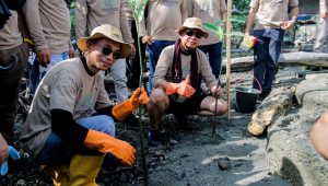 PT. Masmindo Tanam 5.500 Mangrove di Pesisir