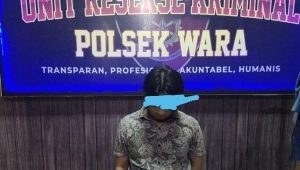 Mantan Polisi Ditangkap Curi Motor di Palopo, Dipecat Kasus Narkoba dan Penipuan