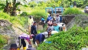 Jelang masa Tanam, Petani Sawah Desa Salu Pareman Gotong-royong Bersihkan Saluran Irigasi
