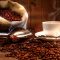 Atasi Hama Kutu Pada Penyimpanan Biji Kopi