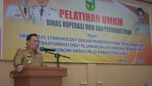 DKUP Luwu Gelar Pelatihan bagi Pelaku UMKM