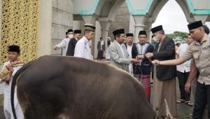 Idul Adha, Pemkab Luwu Kurban 203 Ekor Sapi dan 9 Ekor Kambing
