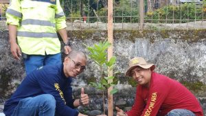 Peduli Lingkungan, Masmindo-Adhyaksa Jip Club Tanam 1.500 Bibit Pohon