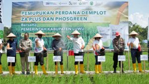 Petrokimia Gresik Gelar Demplot Tanaman Padi di Luwu dengan Aplikasi Tiga Pupuk Baru