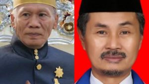 Sama-sama Ingin Maju Calon DPD RI, Datu Luwu Bersaing dengan Bukhari Qahhar