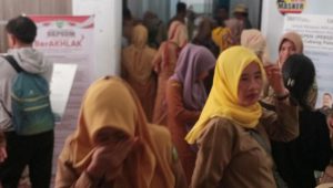 Puluhan Non ASN Datangi Kantor BKPSDM Luwu, Ini Tujuannya….