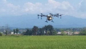 PPL di Luwu Utara Gunakan Drone untuk Pemupukan Padi
