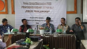 Mengembalikan Kejayaan Jeruk ‘Malangke’ dengan Kolaborasi Pentahelix