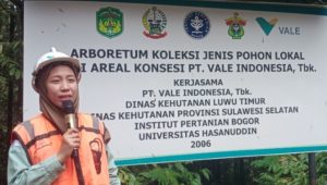 Hutan ‘Himalaya’ di Tengah Lokasi Tambang Nikel PT. Vale Indonesia