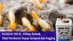 SILOGUD 250 EC, Pilihan Terbaik Obat Pembasmi Rayap Semprot dan Fogging