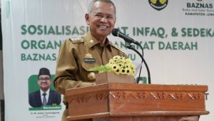 Putusan Mahkamah Konstitusi, Masa Jabatan Bupati Luwu Hingga 15 Februari 2024