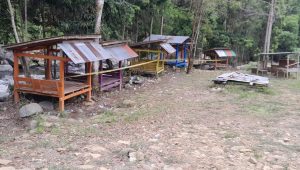 Pengelola Tempat Wisata Permandian di Desa Harapan Sengaja Pasang Penghalau Babi, Satu Orang Pengunjung Meninggal Dunia