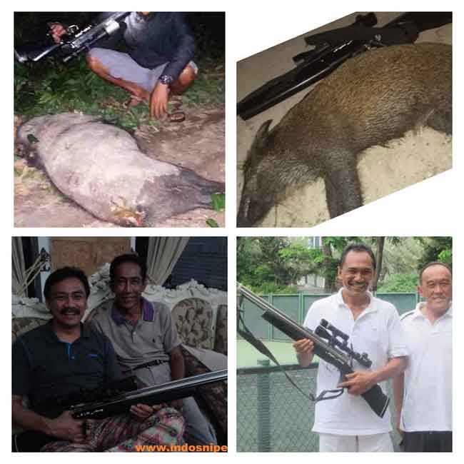 Senapan Angin Pompa Terbaik Untuk Berburu 3 indo sniper 2