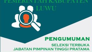 BKPSDM Luwu Umumkan Hasil Wawancara Seleksi Terbuka JPT Pratama