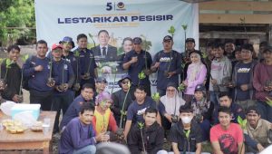 Peduli Keberlangsungan Biota Laut, Partai NasDem Luwu Tanam 1000 Mangrove di Pesisir Pantai